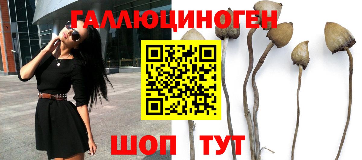 Псилоцибиновые грибы ЛСД Стрежевой